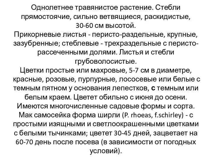 Однолетнее травянистое растение. Стебли прямостоячие, сильно ветвящиеся, раскидистые, 30-60 см