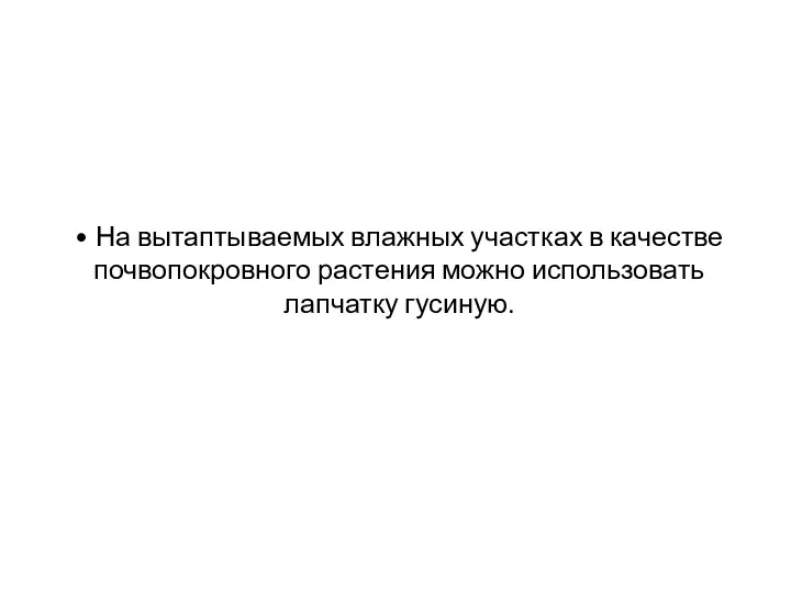 • На вытаптываемых влажных участках в качестве почвопокровного растения можно использовать лапчатку гусиную.