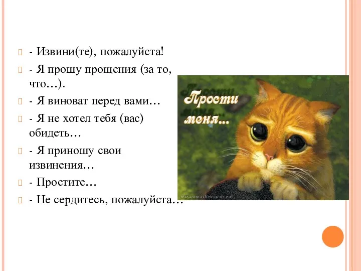 - Извини(те), пожалуйста! - Я прошу прощения (за то, что…).