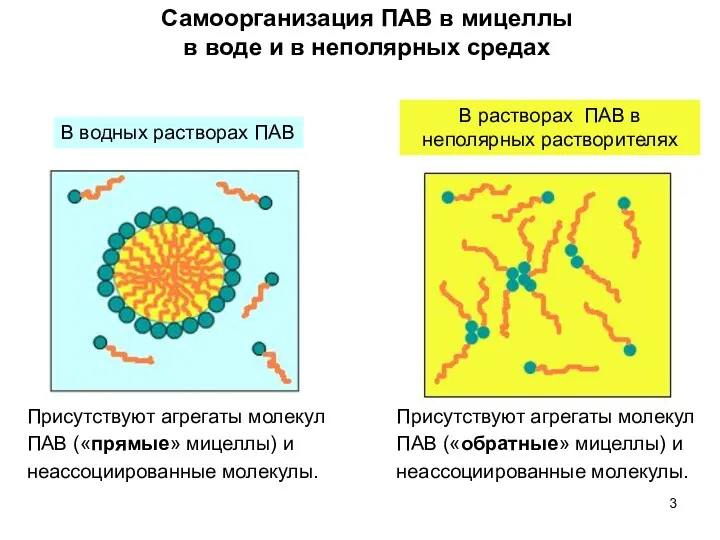 Самоорганизация ПАВ в мицеллы в воде и в неполярных средах