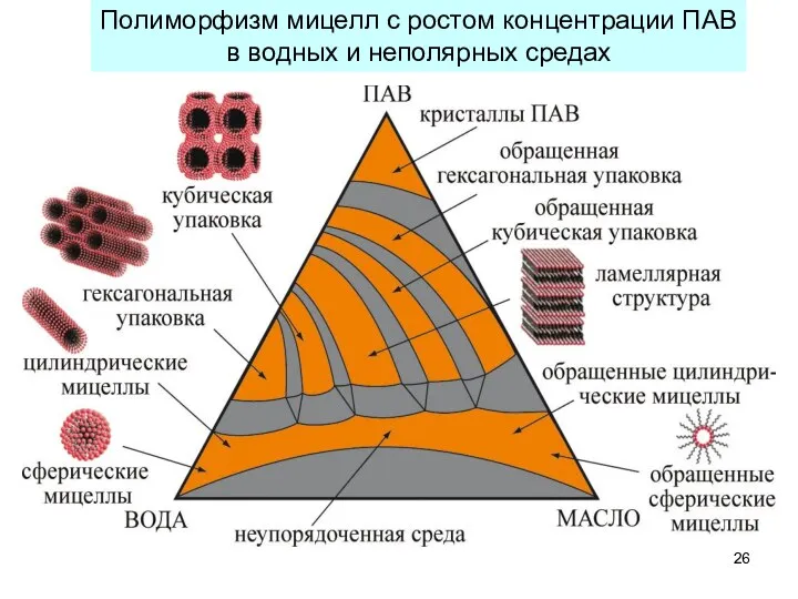 Полиморфизм мицелл с ростом концентрации ПАВ в водных и неполярных средах