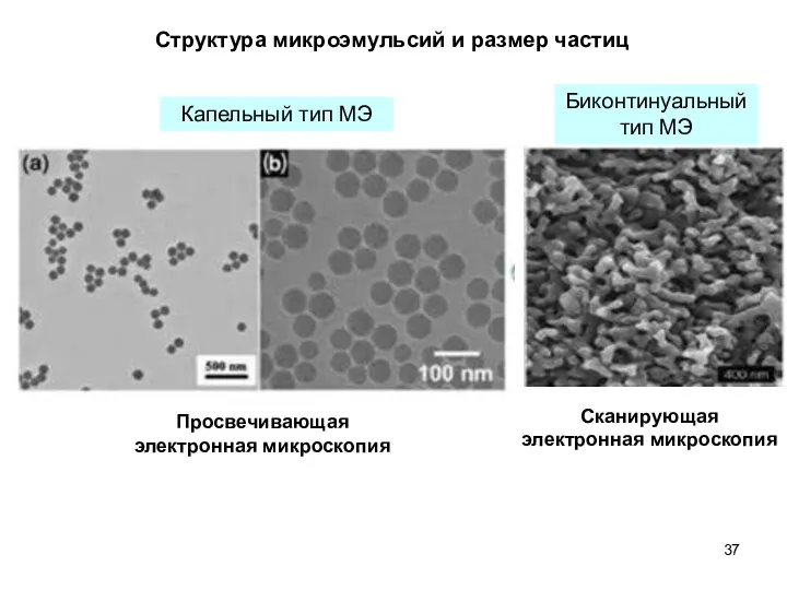 Структура микроэмульсий и размер частиц Просвечивающая электронная микроскопия Капельный тип