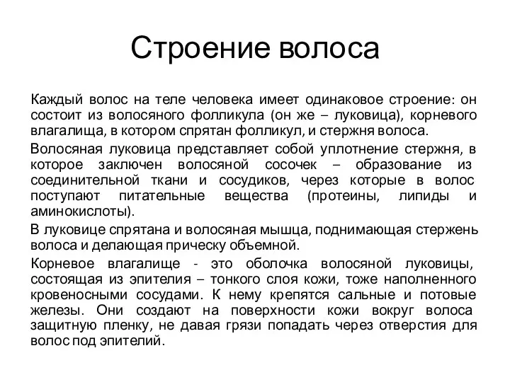 Строение волоса Каждый волос на теле человека имеет одинаковое строение: