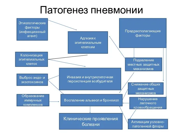 Патогенез пневмонии Адгезия к эпителиальным клеткам Этиологические факторы (инфекционный агент) Предрасполагающие факторы Инвазия