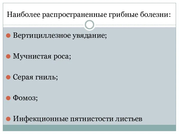 Наиболее распространенные грибные болезни: Вертициллезное увядание; Мучнистая роса; Серая гниль; Фомоз; Инфекционные пятнистости листьев