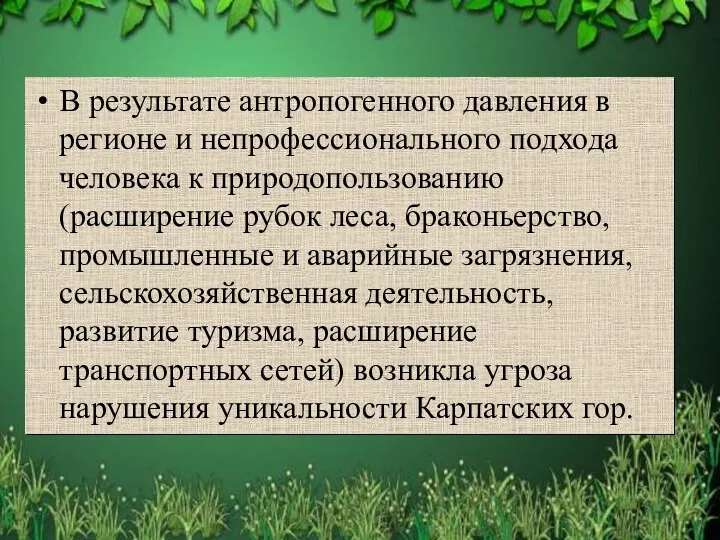 В результате антропогенного давления в регионе и непрофессионального подхода человека