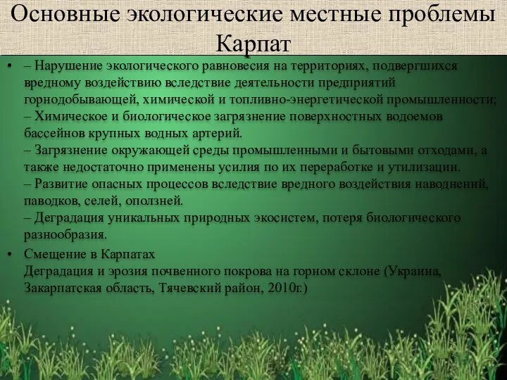 Основные экологические местные проблемы Карпат – Нарушение экологического равновесия на