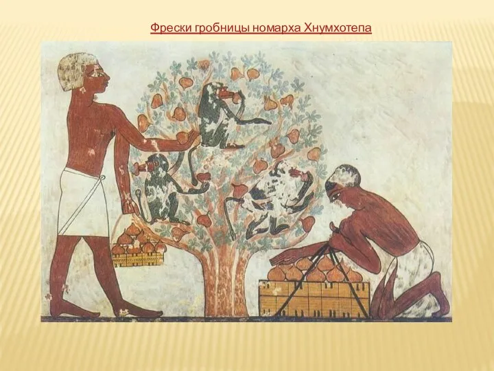 Фрески гробницы номарха Хнумхотепа