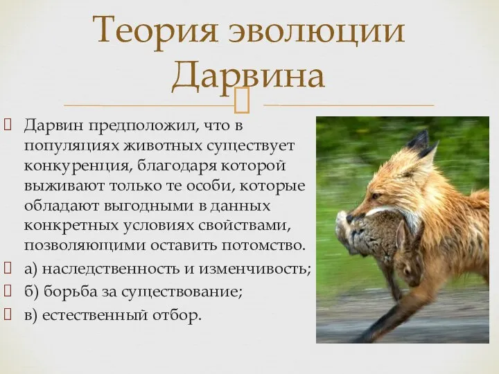 Дарвин предположил, что в популяциях животных существует конкуренция, благодаря которой