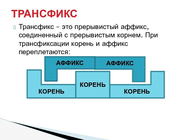 Трансфикс – это прерывистый аффикс, соединенный с прерывистым корнем. При