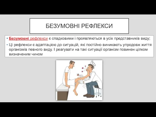 БЕЗУМОВНІ РЕФЛЕКСИ Безумовні рефлекси є спадковими і проявляються в усіх