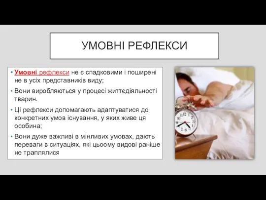 УМОВНІ РЕФЛЕКСИ Умовні рефлекси не є спадковими і поширені не