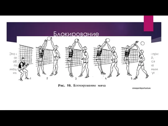 Блокирование Это игровой приём, при котором защищающаяся команда препятствует переводу