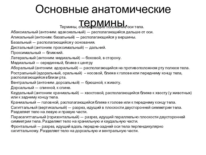 Основные анатомические термины. Термины, описывающие положение оси тела. Абаксиальный (антоним: