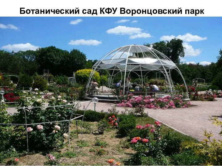 Ботанический сад КФУ Воронцовский парк