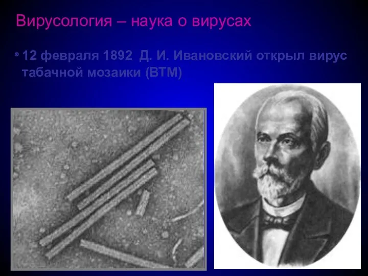 Вирусология – наука о вирусах 12 февраля 1892 Д. И. Ивановский открыл вирус табачной мозаики (ВТМ)