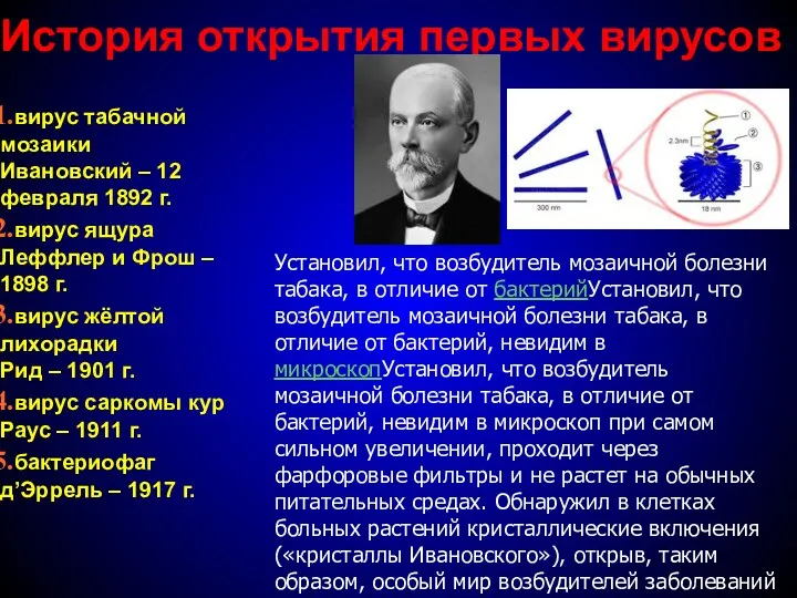 История открытия первых вирусов вирус табачной мозаики Ивановский – 12 февраля 1892 г.