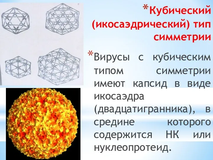 Кубический (икосаэдрический) тип симметрии Вирусы с кубическим типом симметрии имеют капсид в виде