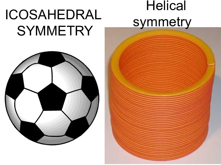ICOSAHEDRAL SYMMETRY Helical symmetry