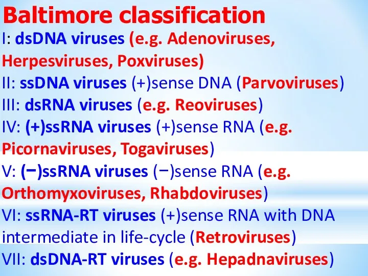 I: dsDNA viruses (e.g. Adenoviruses, Herpesviruses, Poxviruses) II: ssDNA viruses (+)sense DNA (Parvoviruses)