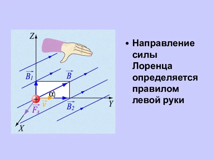 Направление силы Лоренца определяется правилом левой руки