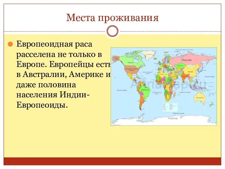 Места проживания Европеоидная раса расселена не только в Европе. Европейцы