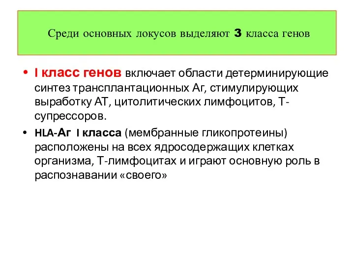 I класс генов включает области детерминирующие синтез трансплантационных Аг, стимулирующих