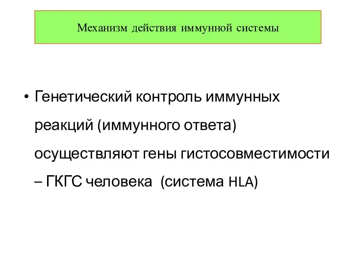 Генетический контроль иммунных реакций (иммунного ответа)осуществляют гены гистосовместимости – ГКГС