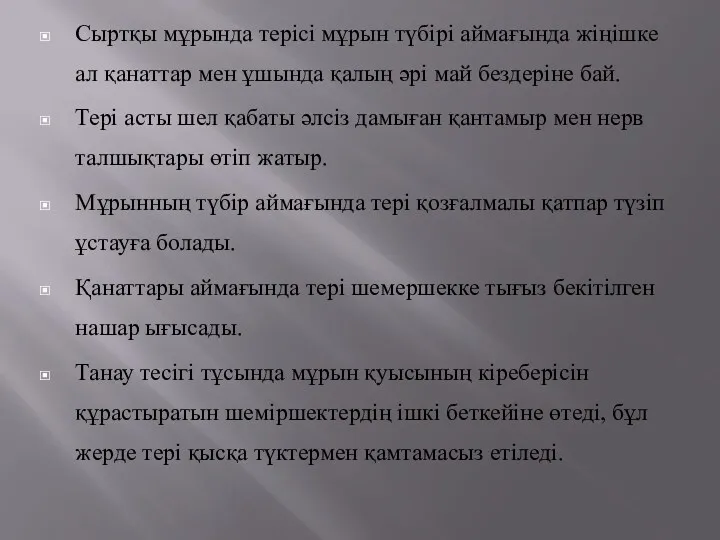 Сыртқы мұрында терісі мұрын түбірі аймағында жіңішке ал қанаттар мен ұшында қалың әрі