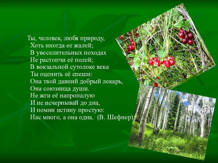 Ты, человек, любя природу, Хоть иногда ее жалей; В увеселительных