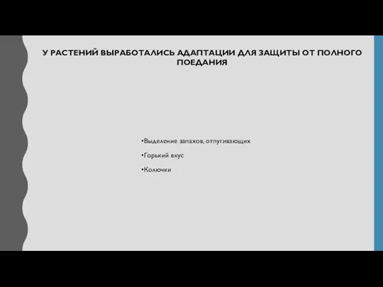 У РАСТЕНИЙ ВЫРАБОТАЛИСЬ АДАПТАЦИИ ДЛЯ ЗАЩИТЫ ОТ ПОЛНОГО ПОЕДАНИЯ Выделение запахов, отпугивающих Горький вкус Колючки