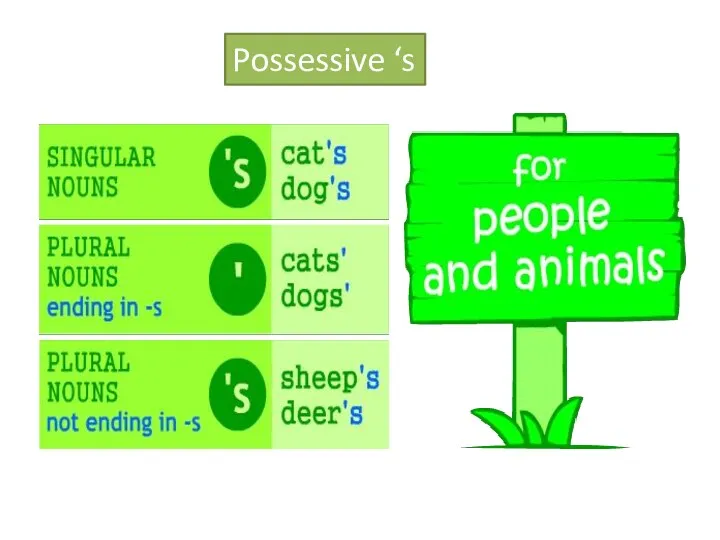 Possessive ‘s