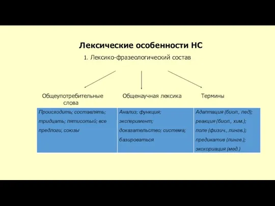 Лексические особенности НС 1. Лексико-фразеологический состав Общеупотребительные Общенаучная лексика Термины слова