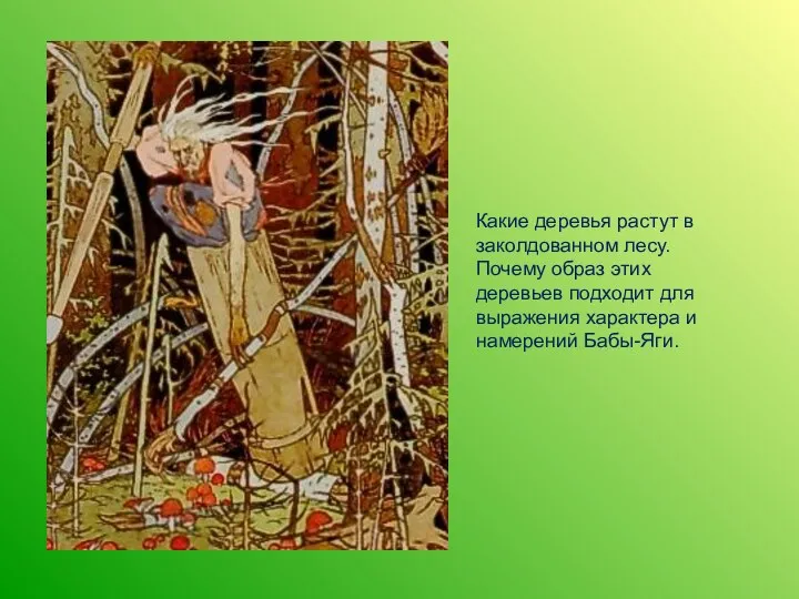 Какие деревья растут в заколдованном лесу. Почему образ этих деревьев подходит для выражения