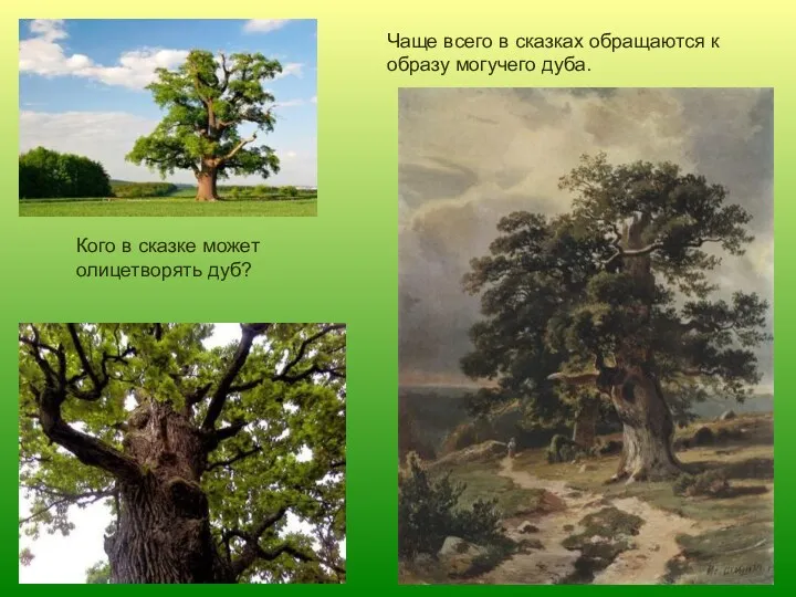 Чаще всего в сказках обращаются к образу могучего дуба. Кого в сказке может олицетворять дуб?