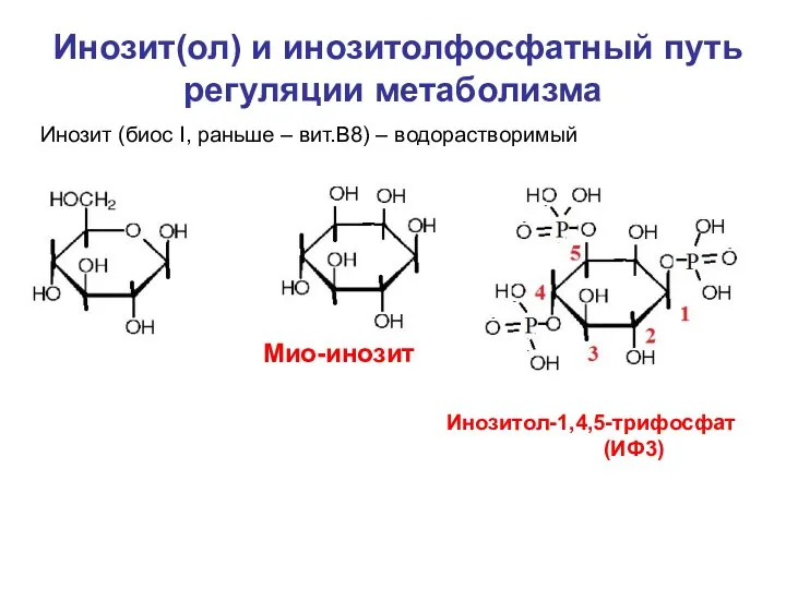 Инозит(ол) и инозитолфосфатный путь регуляции метаболизма Инозит (биос I, раньше