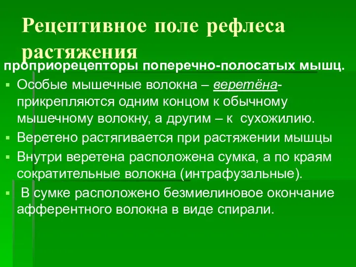 Рецептивное поле рефлеса растяжения проприорецепторы поперечно-полосатых мышц. Особые мышечные волокна