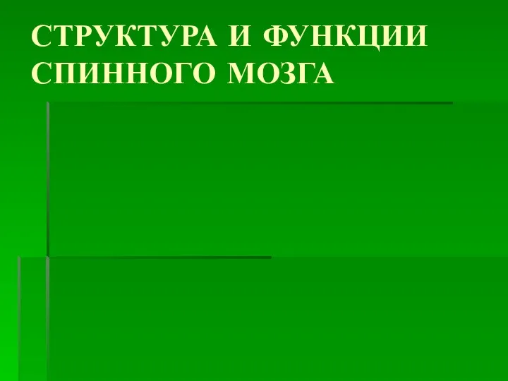 СТРУКТУРА И ФУНКЦИИ СПИННОГО МОЗГА