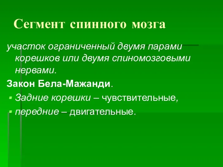 Сегмент спинного мозга участок ограниченный двумя парами корешков или двумя