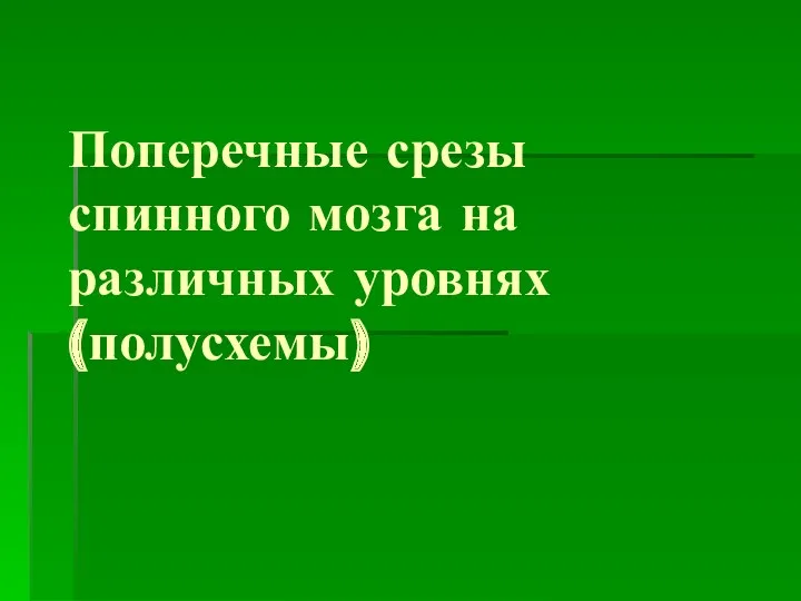 Поперечные срезы спинного мозга на различных уровнях (полусхемы)