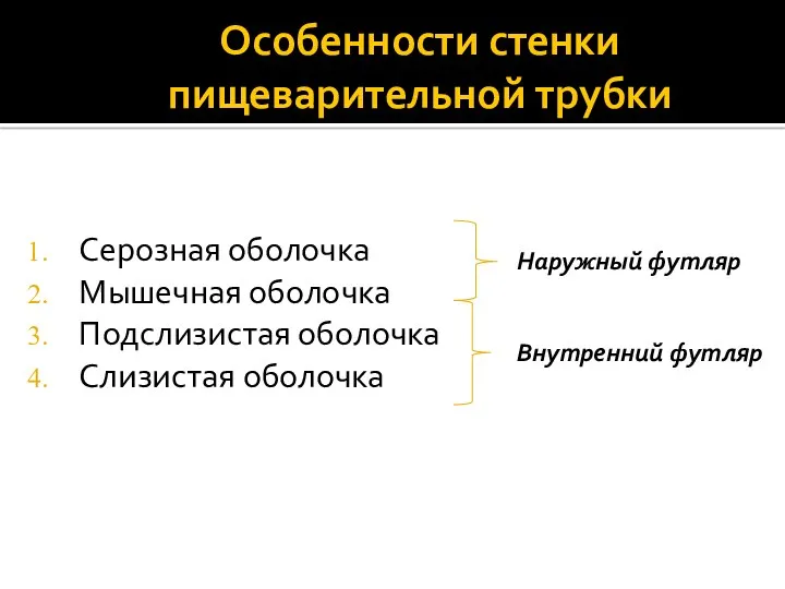 Особенности стенки пищеварительной трубки Серозная оболочка Мышечная оболочка Подслизистая оболочка Слизистая оболочка Наружный футляр Внутренний футляр