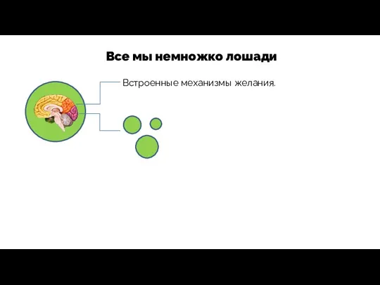 Встроенные механизмы желания. Все мы немножко лошади