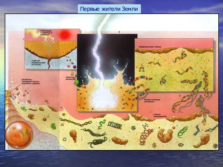 Первые жители Земли