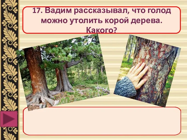 17. Вадим рассказывал, что голод можно утолить корой дерева. Какого?