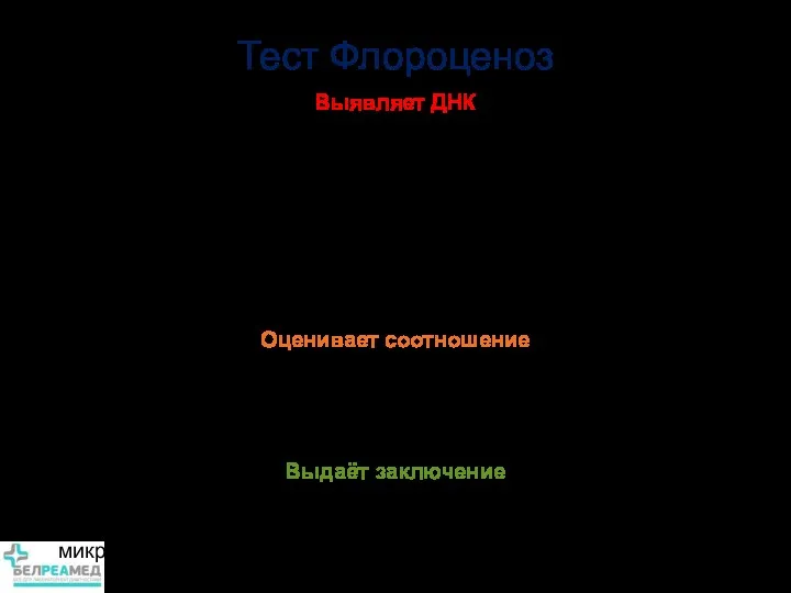 Выявляет ДНК Bacteria spp. Lactobacillus spp Gardnerella vaginalis Atopobium vaginae