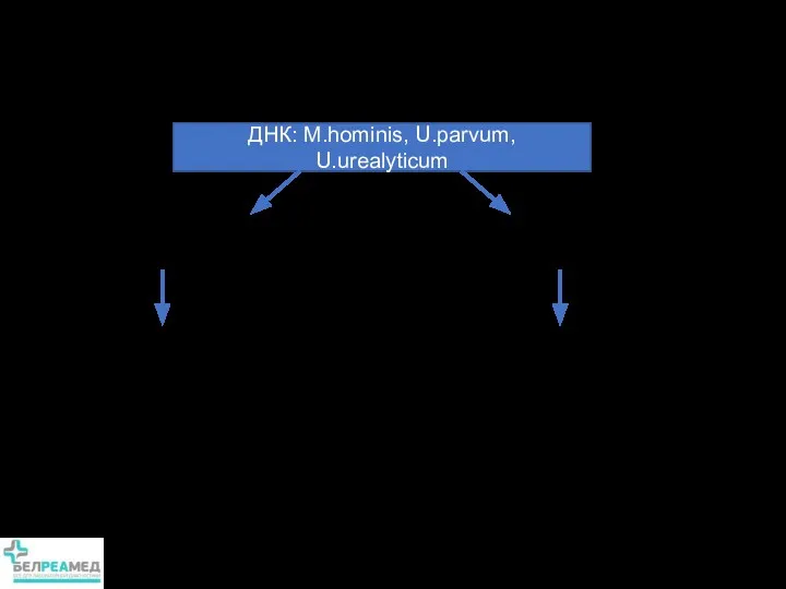 Тактика ведения пациентов на основании результатов теста Флороценоз ДНК: M.hominis,