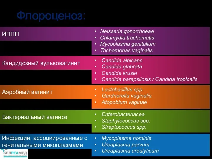 Neisseria gonorrhoeae Chlamydia trachomatis Mycoplasma genitalium Trichomonas vaginalis Candida albicans