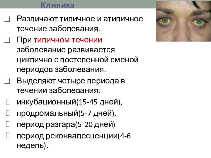 Клиника Различают типичное и атипичное течение заболевания. При типичном течении заболевание развивается циклично