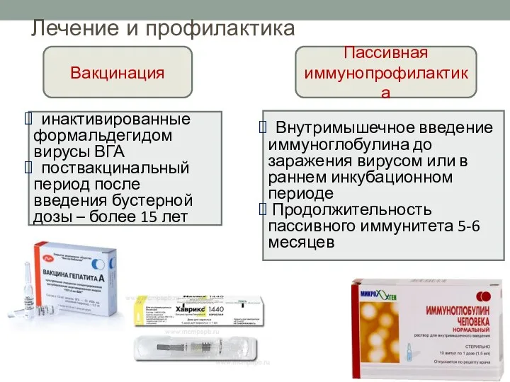 Лечение и профилактика Пассивная иммунопрофилактика инактивированные формальдегидом вирусы ВГА поствакцинальный период после введения