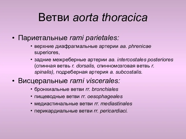 Ветви aorta thoracica Париетальные rami parietales: верхние диафрагмальные артерии aa.